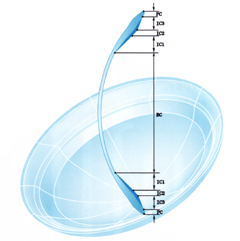 コンタクトレンズ　断面　デザイン